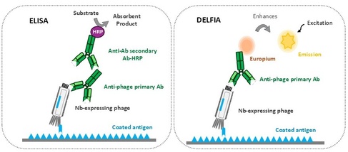 ELISA and DELFIA schematics