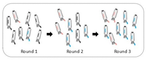 Phage selection rounds