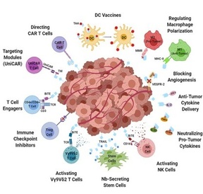 Cancer applications for nanobodies