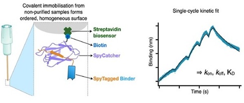 SpyBLI schematic