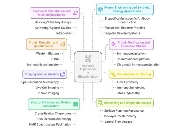 Nanobody applications schematic