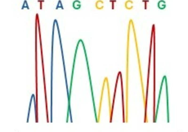Sequencing schematic